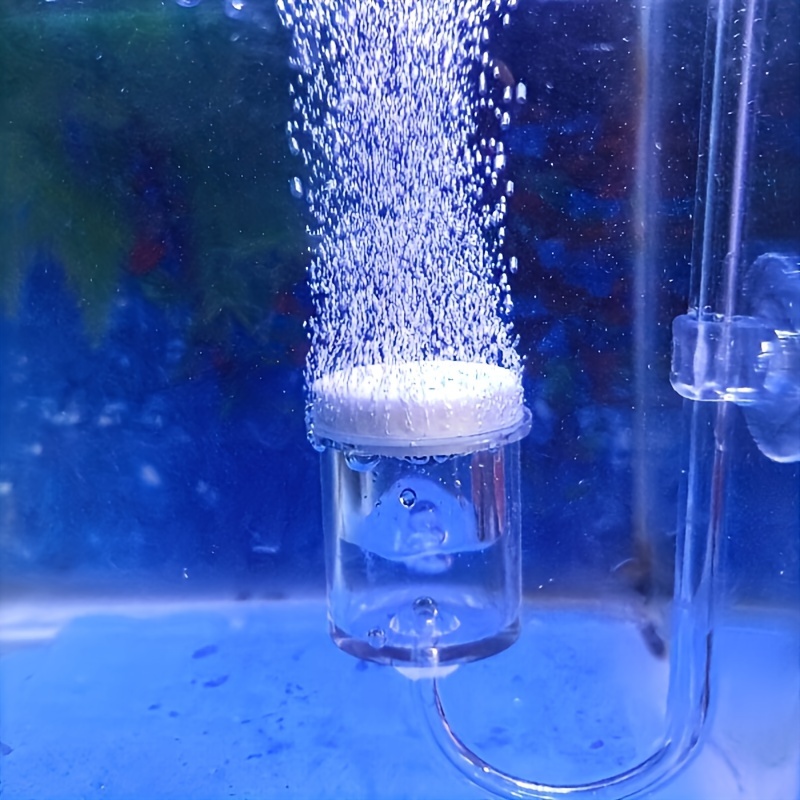 Aquarium Fish Buy - 水族館用のCO2噴霧器とディフューザー,バブルカウンター,吸盤で確認,植えられた水槽の付属品