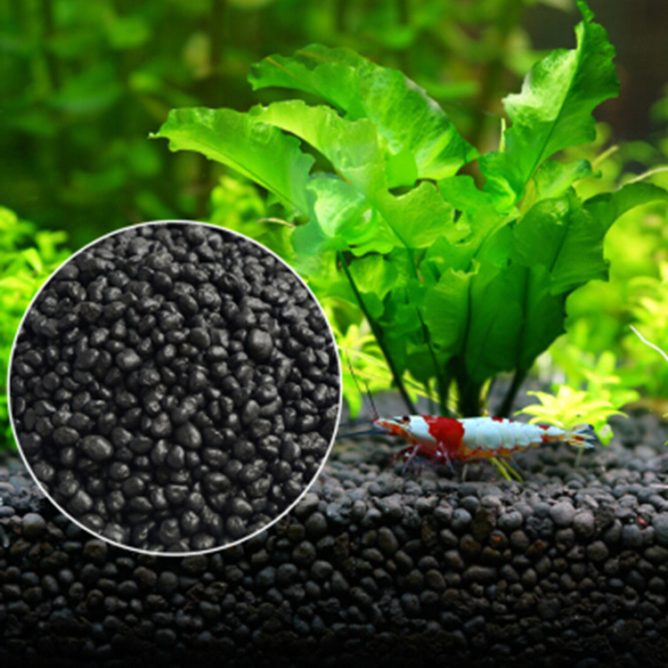 Aquarium Fish Buy - 水族館植物の種子,水槽の素材,砂,土壌肥料,魚の手入れ,淡水水族館の付属品