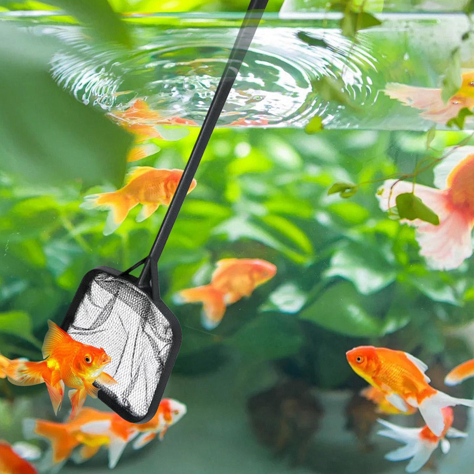プールネット 清掃用 ポータブルプールストレーナーネット 噴 - Aquarium Fish Buy のレビューと価格