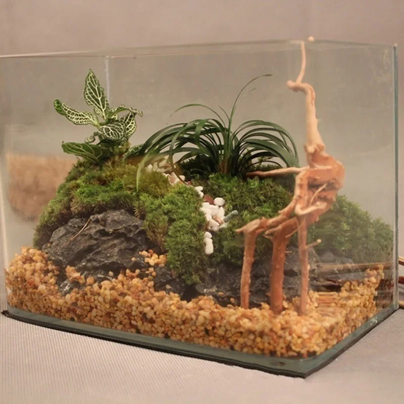 水族館、魚のタンク、爬虫類の根の植物、木の装飾、装飾アクセサ - Aquarium Fish Tank Price のレビューと価格