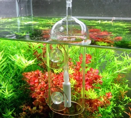 Viv do-魚や植物用の溶解酸素シリンダー、クリスタルガラ - Aquarium Fish Store のレビューと価格