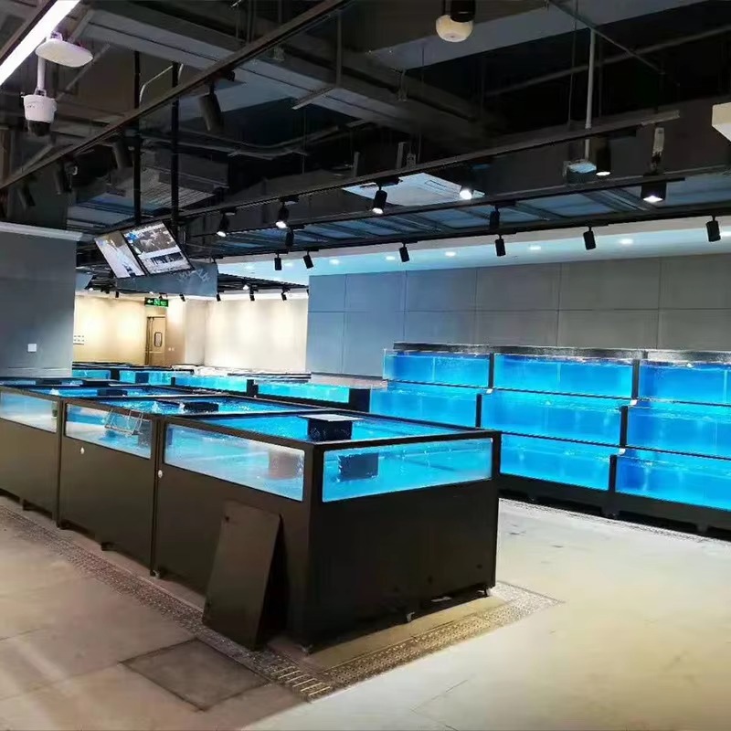 正方形ガラス製淡水魚水槽 100L-500L 環境に優しい省 - Aquarium Xl のレビューと価格