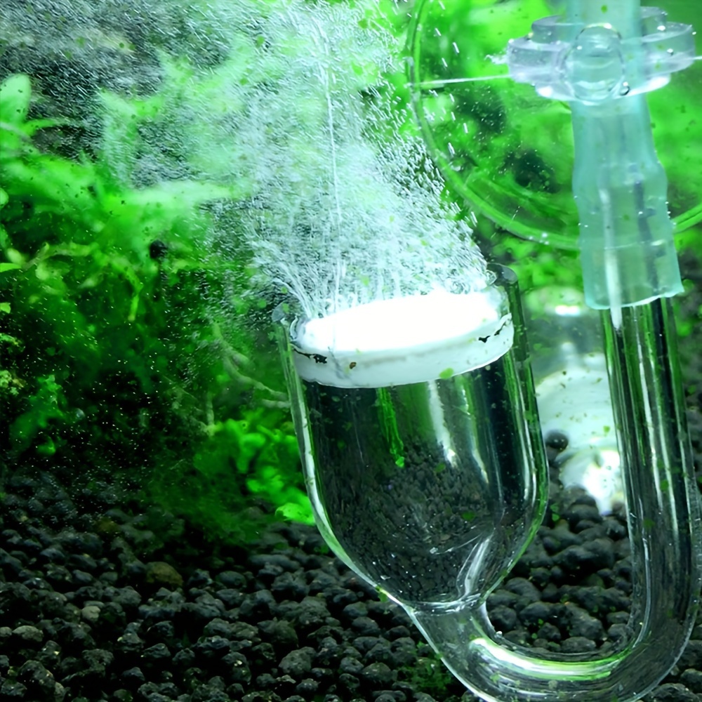水族館用のCO2噴霧器とディフューザー,バブルカウンター,吸 - Aquarium Fish Buy のレビューと価格