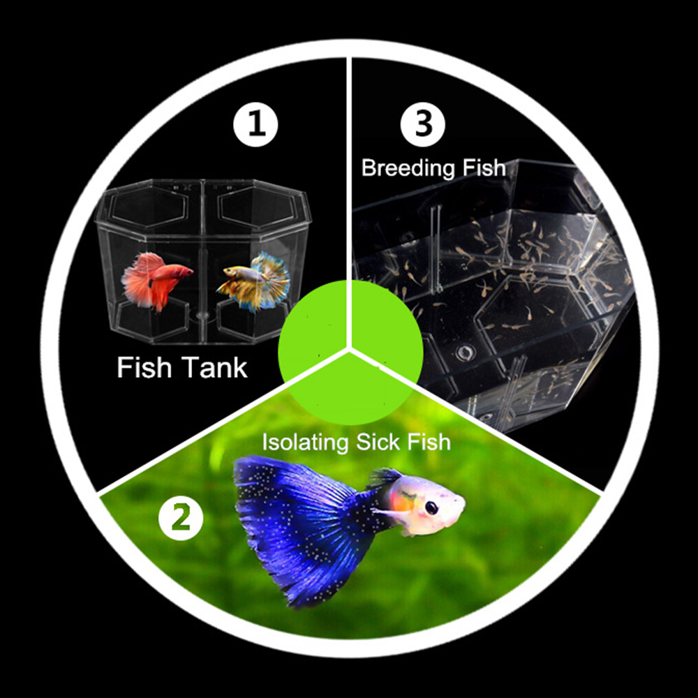 アクリル 2 分割グッピー水槽水族館ベタ金魚鉢透明水族館孵化 - Aquarium Goldfish のレビューと価格