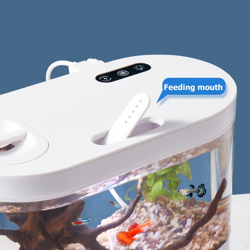 ミニデスクトップ水槽 生化学ろ過システムとLED搭載、水交換 - Aquarium Goldfish のレビューと価格