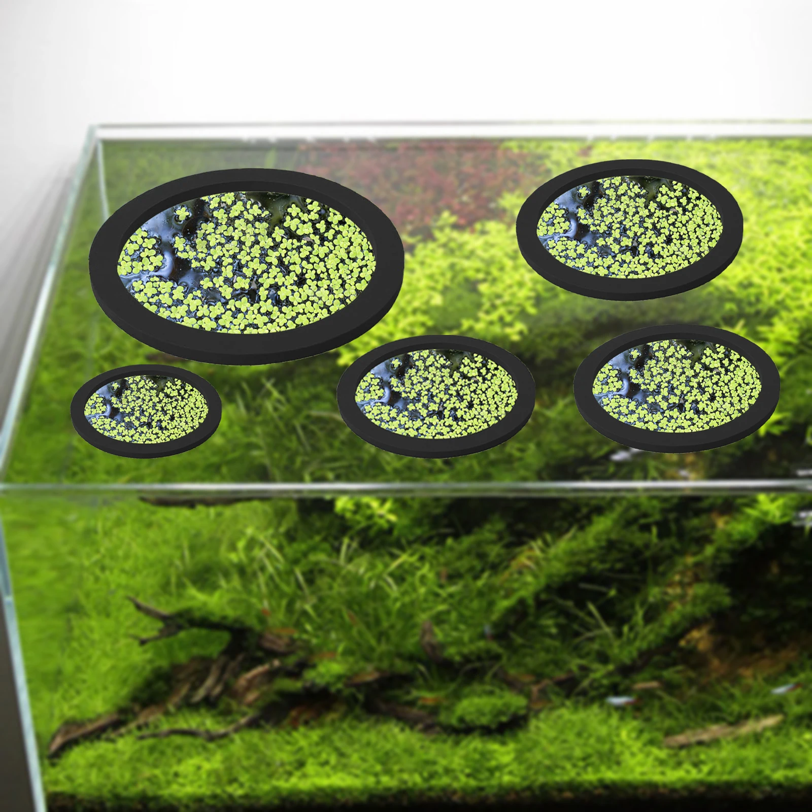 5 個 EVA 魚給餌リング水族館浮遊植物囲い水槽フロート植 - Aquarium Fish Store のレビューと価格