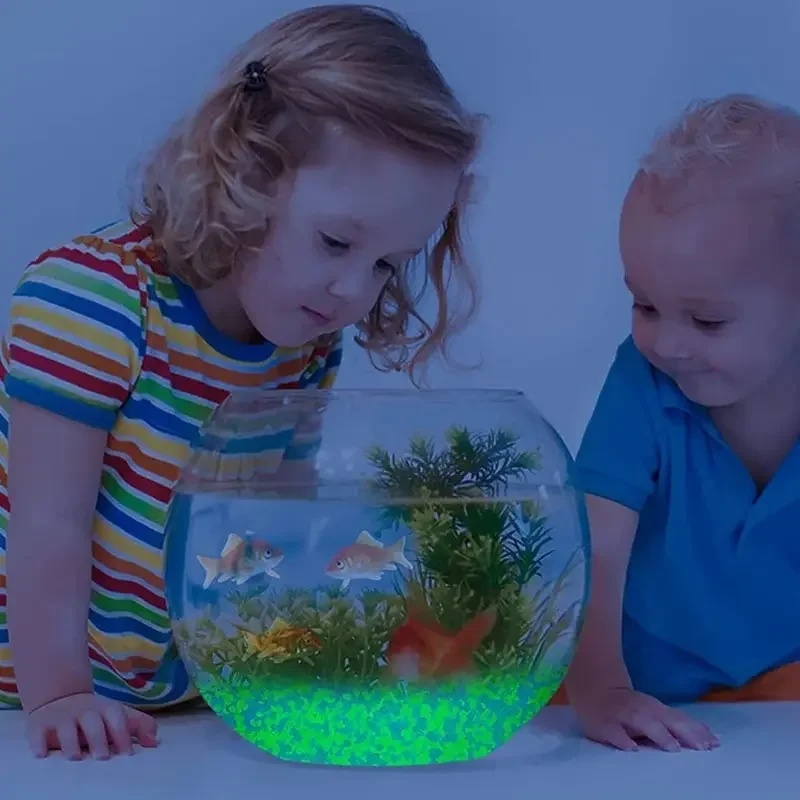 暗い小石の中で輝き、明るい砂岩、家の庭、庭、屋外の小道、芝生 - Aquarium Fish Store のレビューと価格