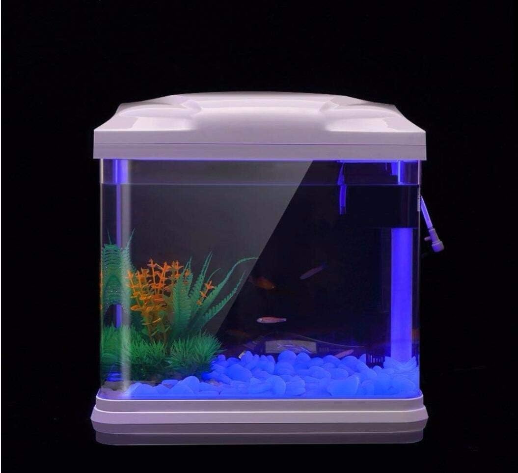 水槽岩グローブルー小石庭用水槽水族館植木鉢盆栽歩道私道 - Aquarium Fish Buy のレビューと価格