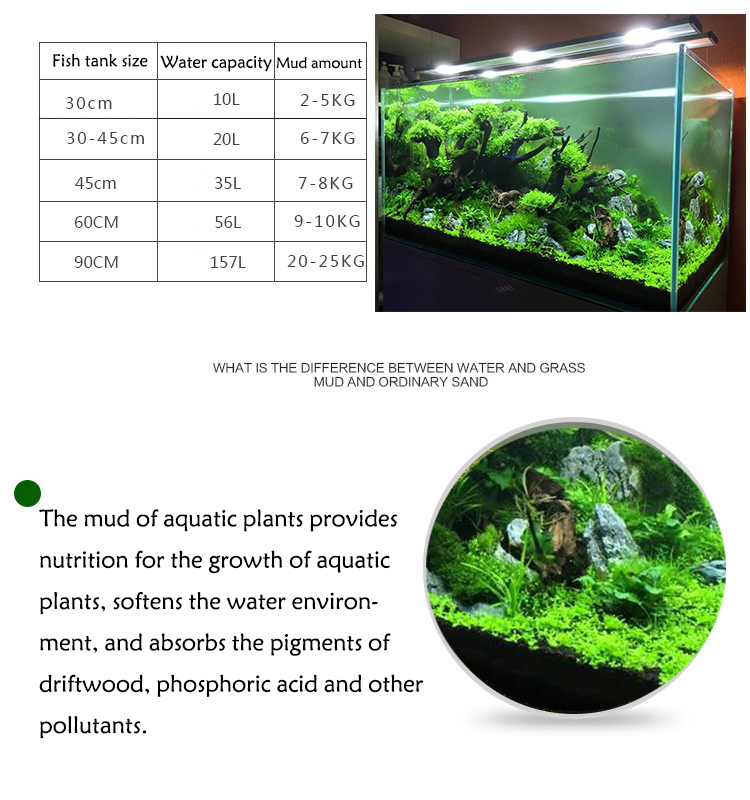 水族館植物の種子,水槽の素材,砂,土壌肥料,魚の手入れ,淡水 - Aquarium Fish Buy のレビューと価格