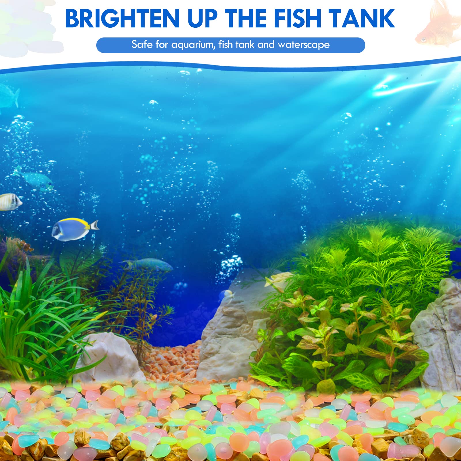 100 個暗闇で光る庭の小石歩道ガーデンテラス芝生庭パティオ - Aquarium Fish Store のレビューと価格
