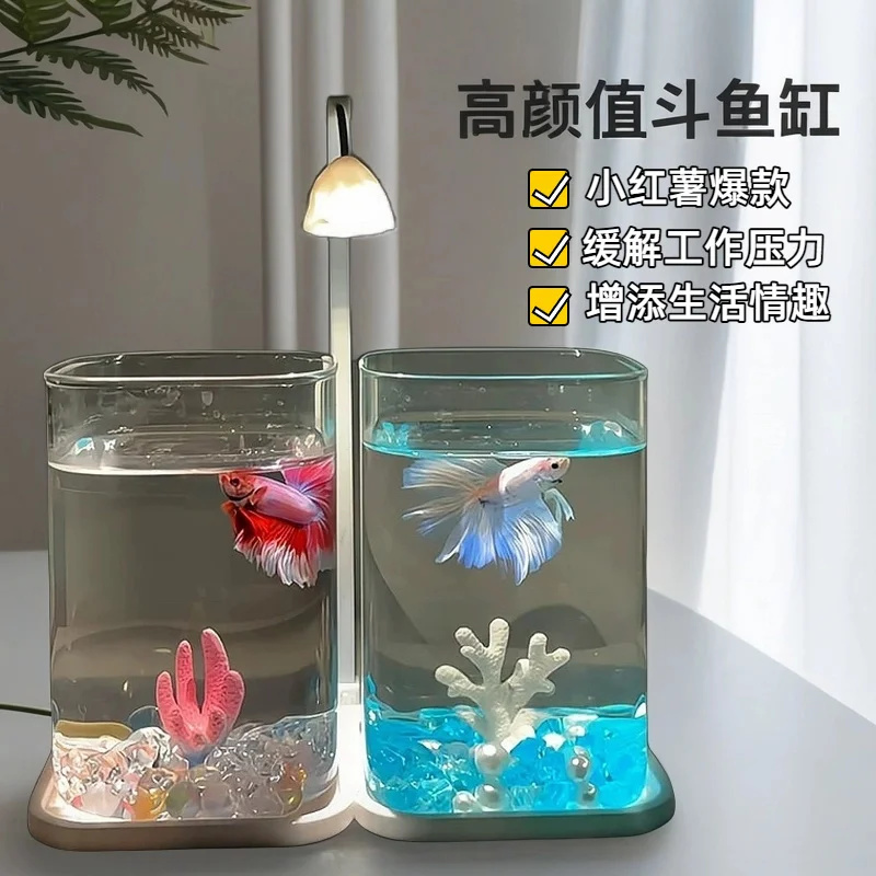 ミニベタ魚用ガラス水槽、デスクトップ水槽、ナイトライト付き、 - Aquarium Goldfish のレビューと価格