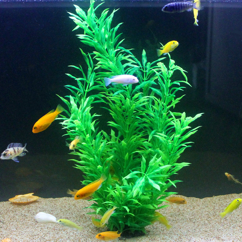 人工水槽50cm,珍しい植物,水族館,偽の竹の葉,水草,プラ - Aquarium Fish Artificial のレビューと価格