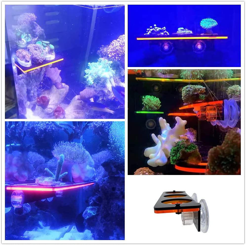 蛍光サンゴフラグプラグブラケット成長ホルダーアクリルラックマ - Aquarium Fish Tank Price のレビューと価格