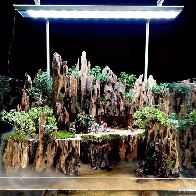 △   エビの木製水槽装飾品、天然の穴が付いた水槽用の流木水 - Aquarium Fish Tank Price のレビューと価格