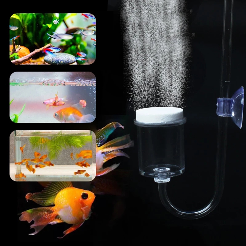 水族館用CO2ディフューザー,日曜大工のガラスタンク,バブル - Aquarium Fish Buy のレビューと価格